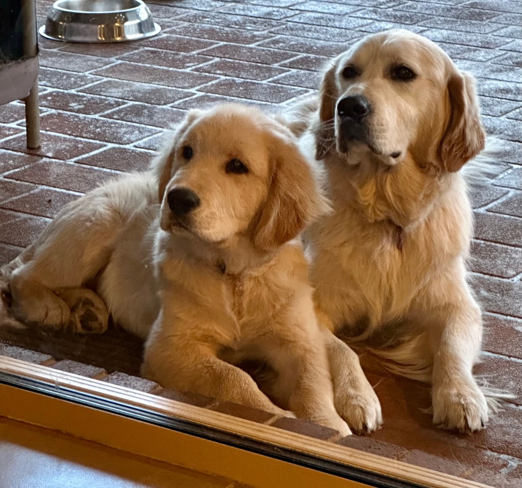 About – The Lowe-Down, image size:1024x958